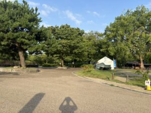 早朝の円山公園の園内