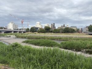東岸から見た鴨川デルタ