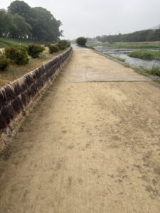 北山大橋すぐの賀茂川西岸の道