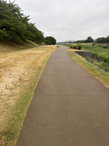 賀茂大橋すぐの賀茂川西岸のランニングコース