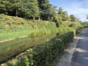 金亀公園から見た彦根城の内堀