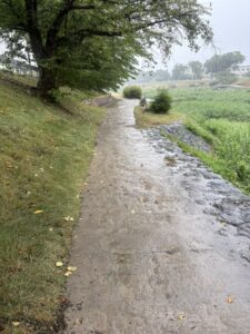 御薗橋すぐの賀茂川東岸の砂道
