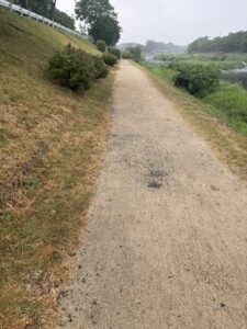 上賀茂橋から御薗橋へ続く賀茂川西岸の道