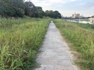 東山橋から先の鴨川東岸の道