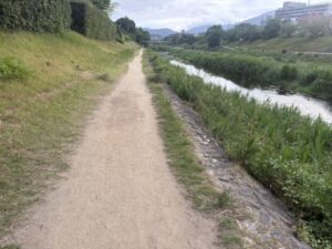 河合橋を越えたあたりの高野川西岸の砂道