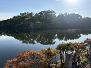 京橋の交差点|彦根城外周コースの信号