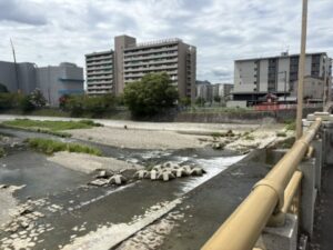 七条大橋より南の鴨川西岸｜歩道が復活している