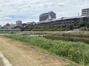 丸太町橋を過ぎたところにある鴨川の飛び石