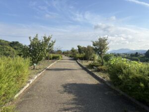 京川橋から見た鴨川の西岸