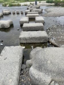 鴨川デルタに入る飛び石