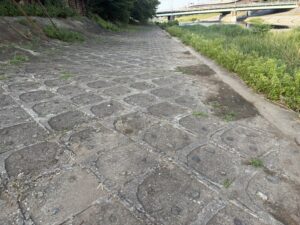 陶化橋から先の道