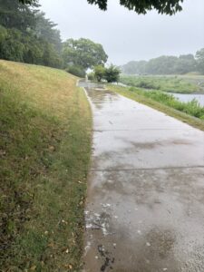上賀茂橋を越えたところの賀茂川東岸の舗装路