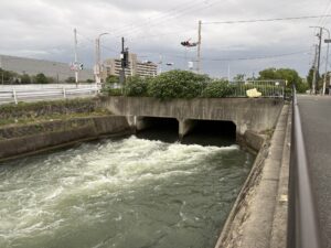 鴨川運河沿い、水の出口