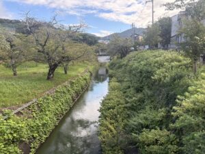 藤尾橋から見た大津方面の疏水