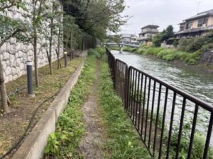 鴨川運河沿い、その道