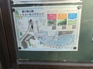 京都タワー|烏丸塩小路の交差点
