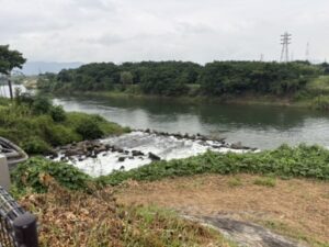 伏見港・三栖閘門の近く、疏水の出口