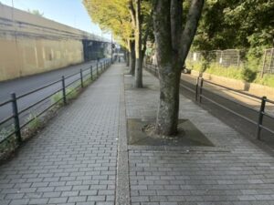 大宮入口から南へ続く道|中周回のスタート