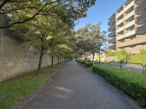 広く整備された歩道|走りやすい区間