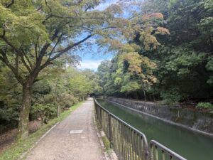 色づき始めた木々と疏水沿いの道
