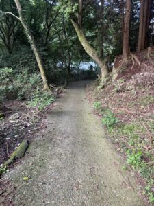 木々の間を下る土の道