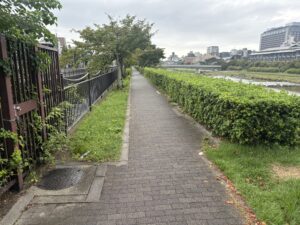 疏水の横の道