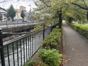 鴨川運河の起点付近・川端通沿い、その先の疏水