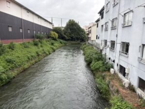 丹波橋から見た下流