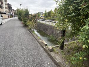 団栗橋の先で地上に出てきた疏水