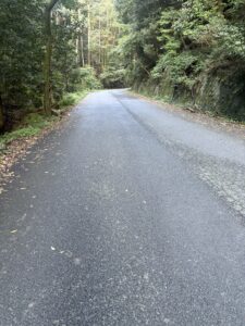 木々に囲まれた小関越の舗装された山道