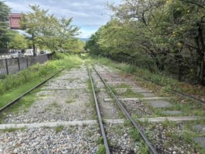 インクラインの線路と並木