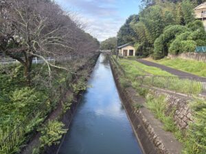 藤尾橋から見た京都方面の疏水