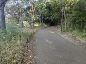 ちびっこ広場から先の線路沿いの道