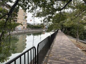 師団橋から先の道（桜並木）
