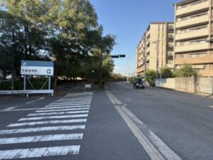 新千本通の信号