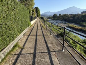 高野川の西岸の道