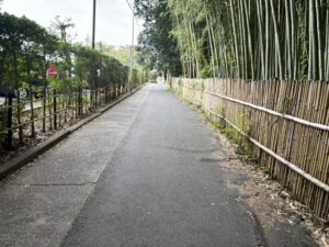 右折した先の道