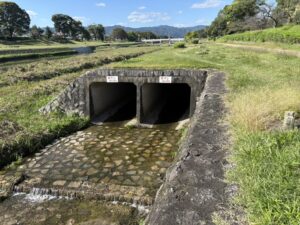 賀茂川に水が流れ込むトンネルの出口(琵琶湖疏水分線の出口とみられる)