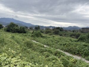 桂川と嵐山の山並み