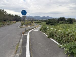 桂川西岸の自転車道