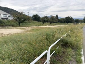 自転車道の横の公園
