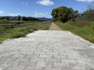 賀茂川東岸の道