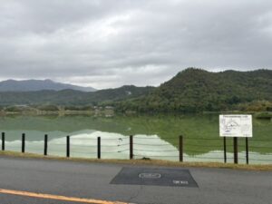 石碑のあたりから見た広沢池