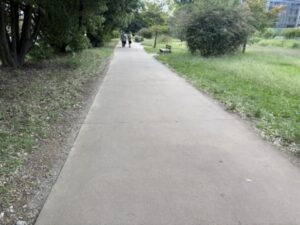 丸太町コースの西岸の道