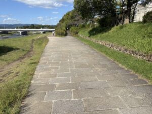鴨川東岸の道