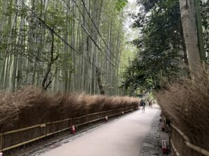 竹林の小径