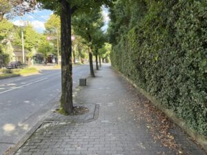 北山通の歩道
