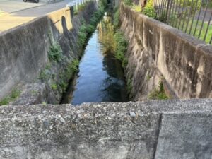 志賀越道のところの疏水