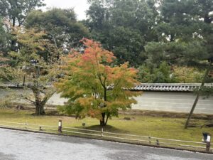仁和寺の紅葉