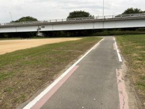 桂川東岸の自転車道